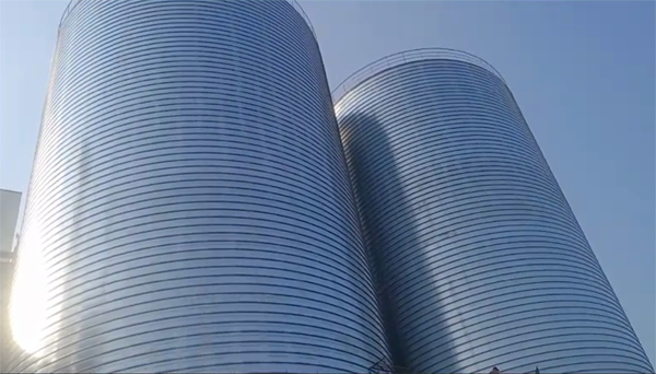 泸水2座混凝土高架卷板仓